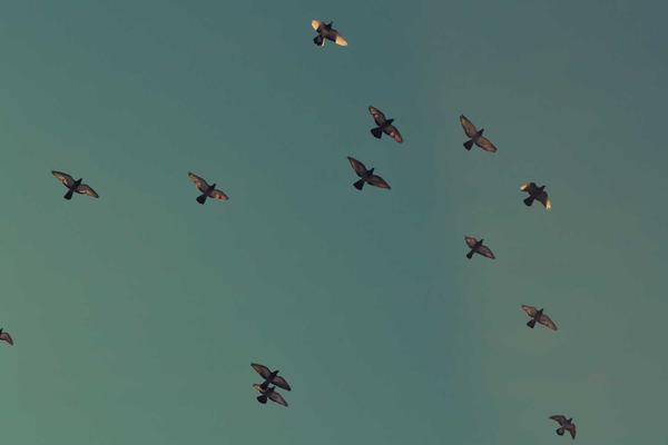 Lojistik Süreçlerini Hızlandıran Paketleme Malzemeleri