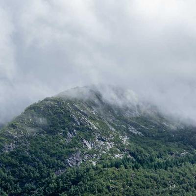 Beton Demir (10mm, 12m)