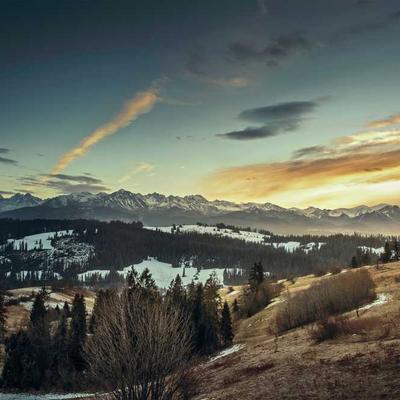 Çimento (50 kg Torba)