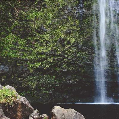 Çimento (50 kg Torba)